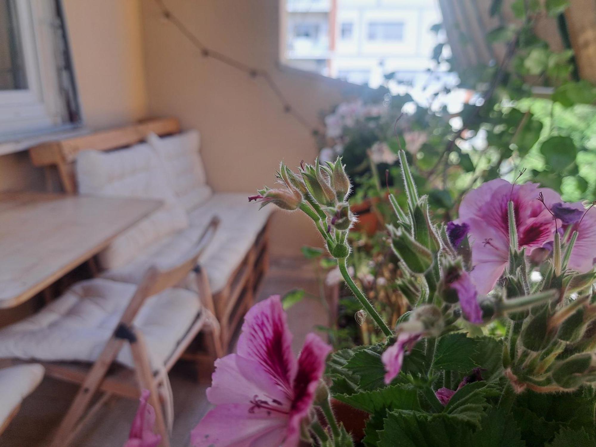 에코 B&B 마렐라 로마 외부 사진